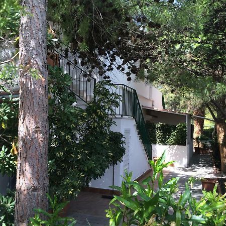 Villa Irene Βιέστε Εξωτερικό φωτογραφία
