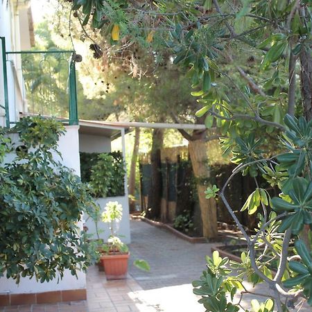 Villa Irene Βιέστε Εξωτερικό φωτογραφία