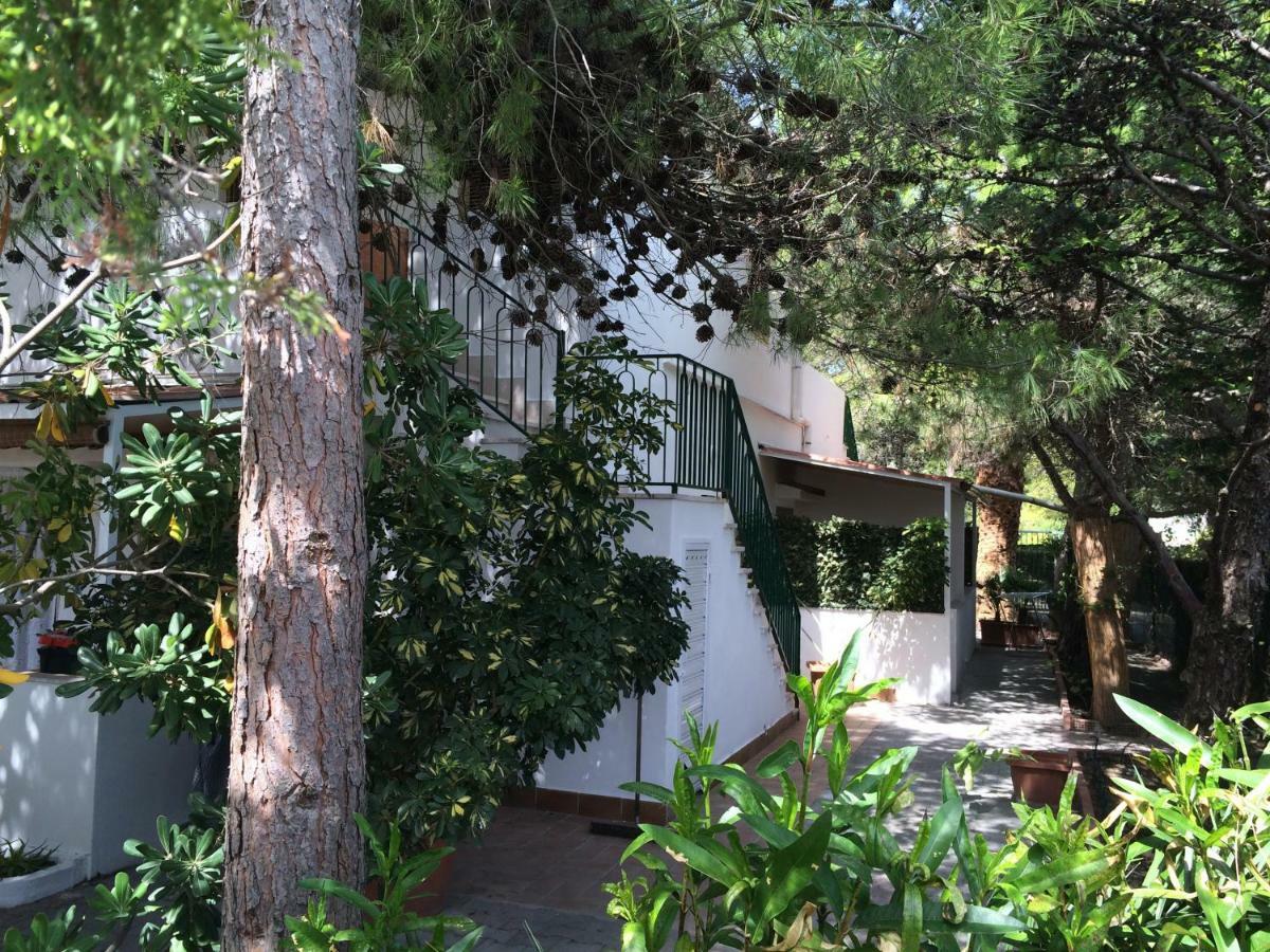 Villa Irene Βιέστε Εξωτερικό φωτογραφία