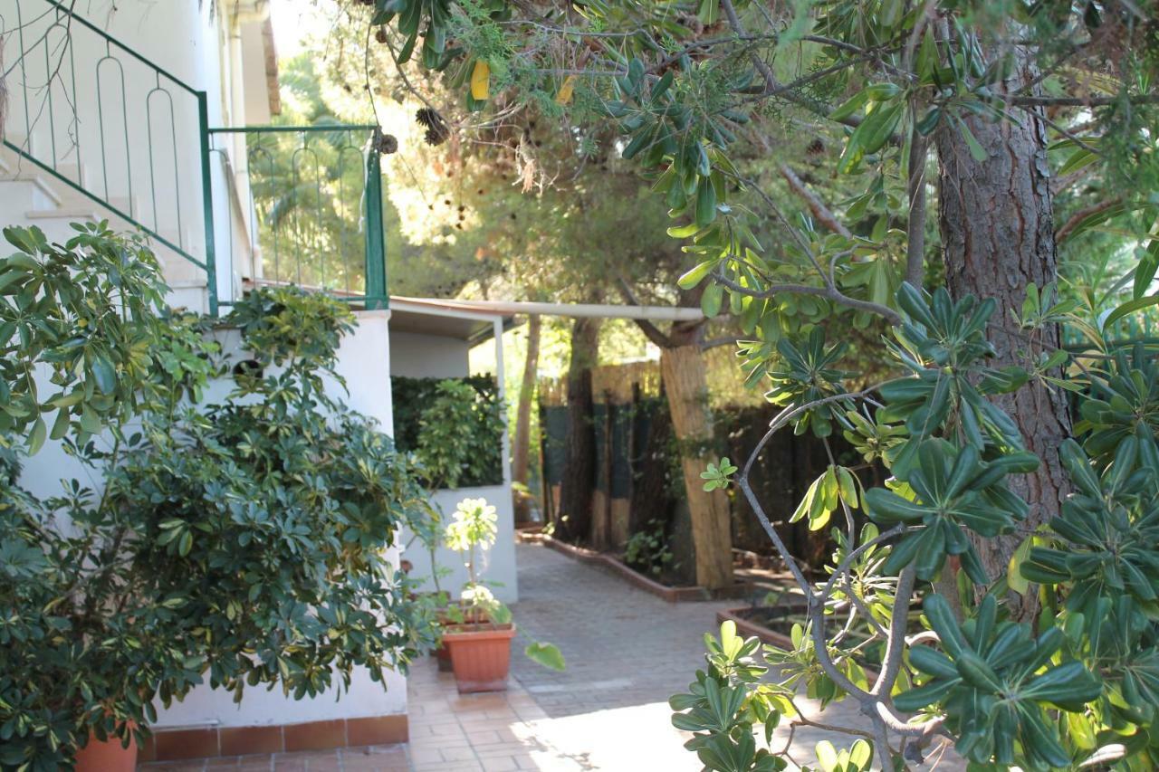 Villa Irene Βιέστε Εξωτερικό φωτογραφία